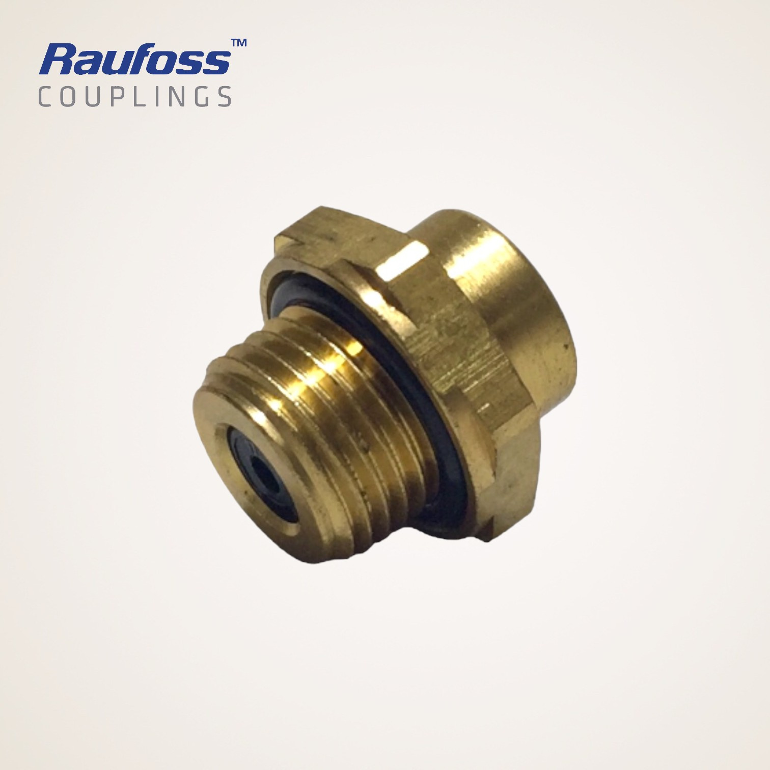CONEXAO RETA COM ROSCA M16X1,5MM TUBO 6MM - 8938000822 - RAUFOSS