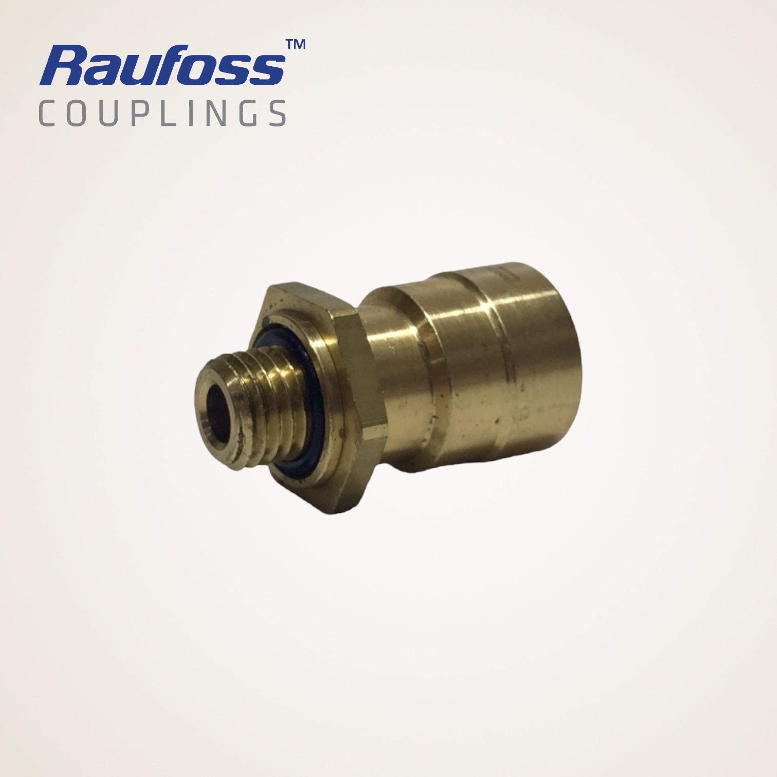 CONEXAO RETA COM ROSCA M12X1,5MM TUBO 12MM - 8938008132 - RAUFOSS