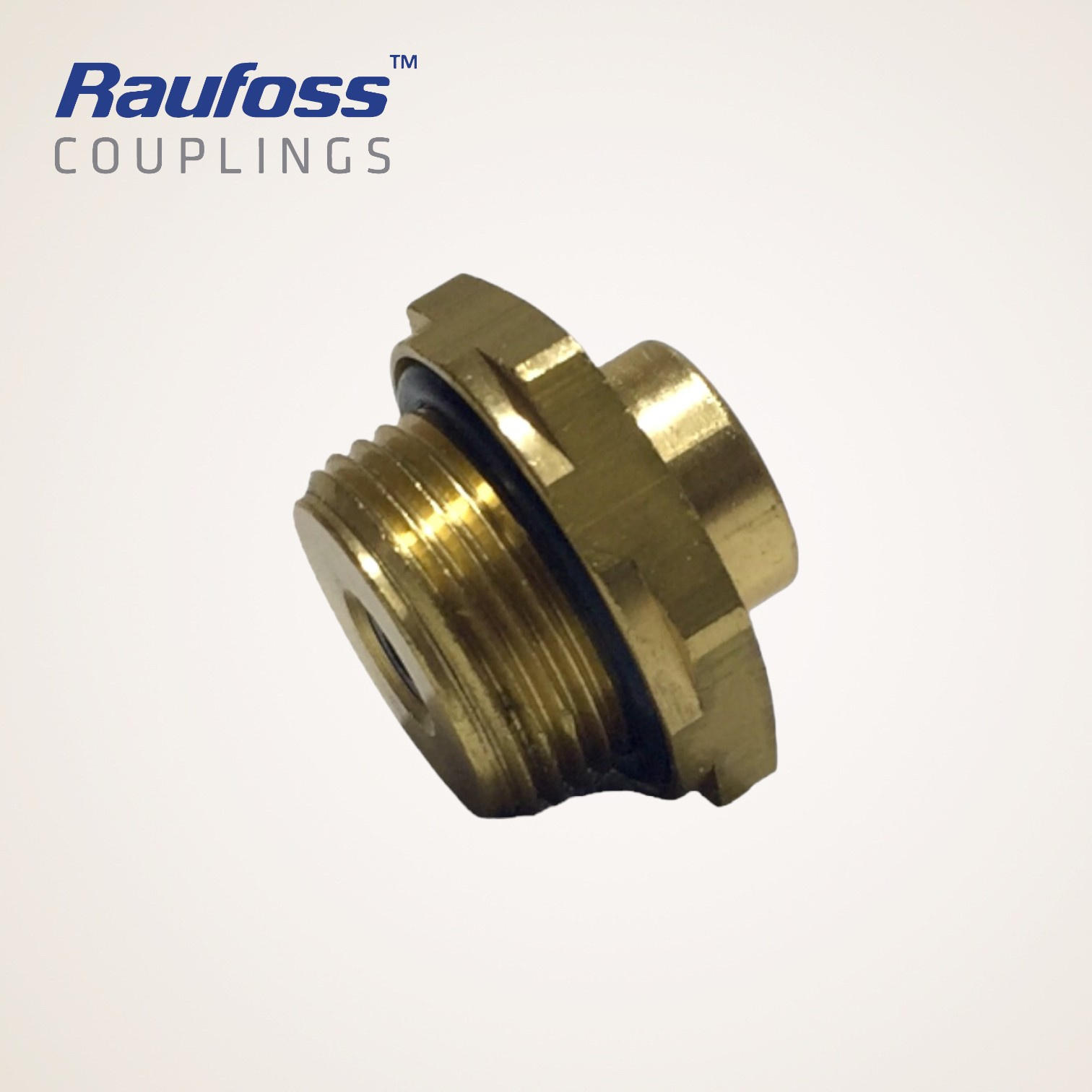 CONEXAO RETA COM ROSCA M22X1,5MM TUBO 8MM - 8938000052 - RAUFOSS