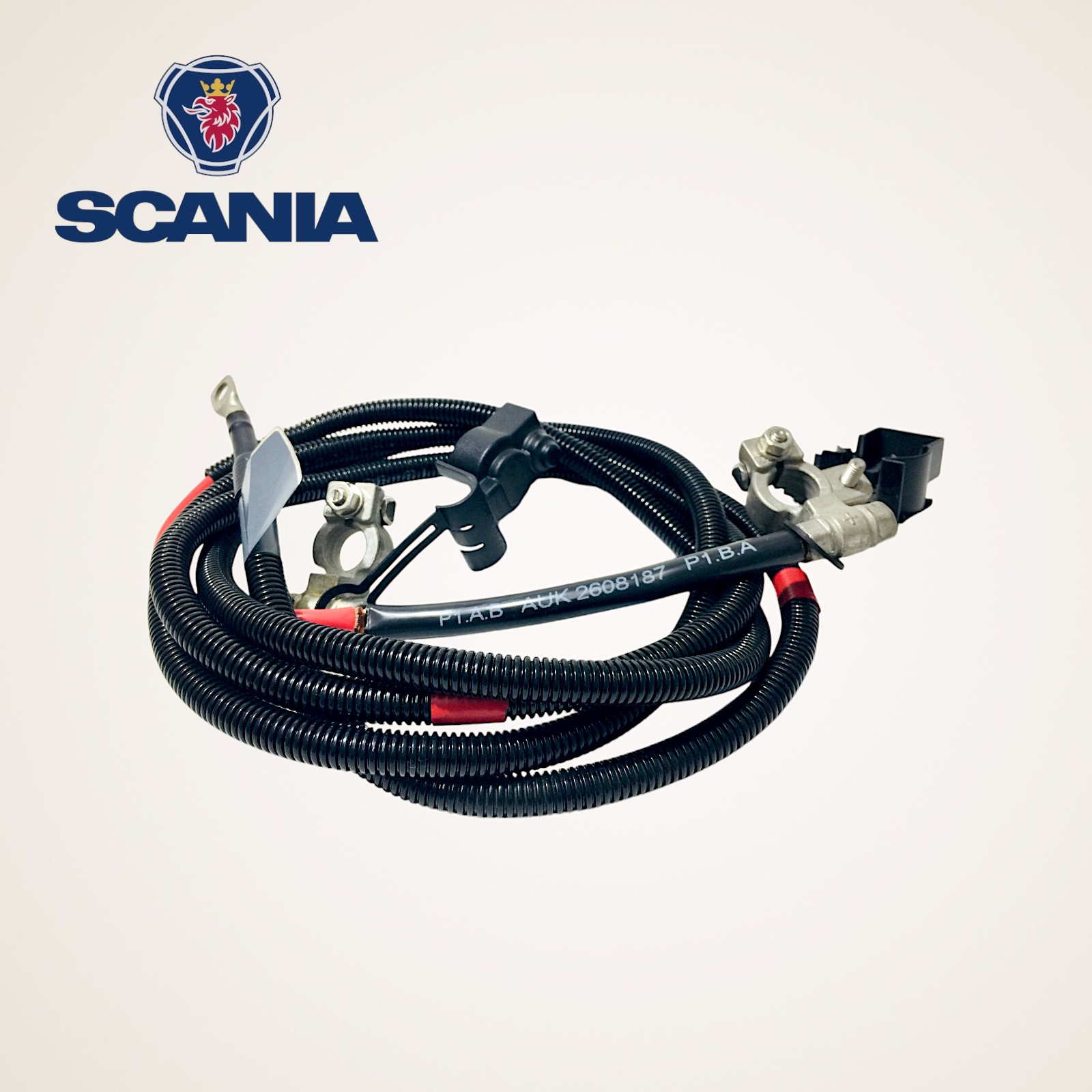 CHICOTE CABO DE BATERIA COMPLETO ORIGINAL SERIE L-P-G-R-S - 2608187/2530444 - SCANIA