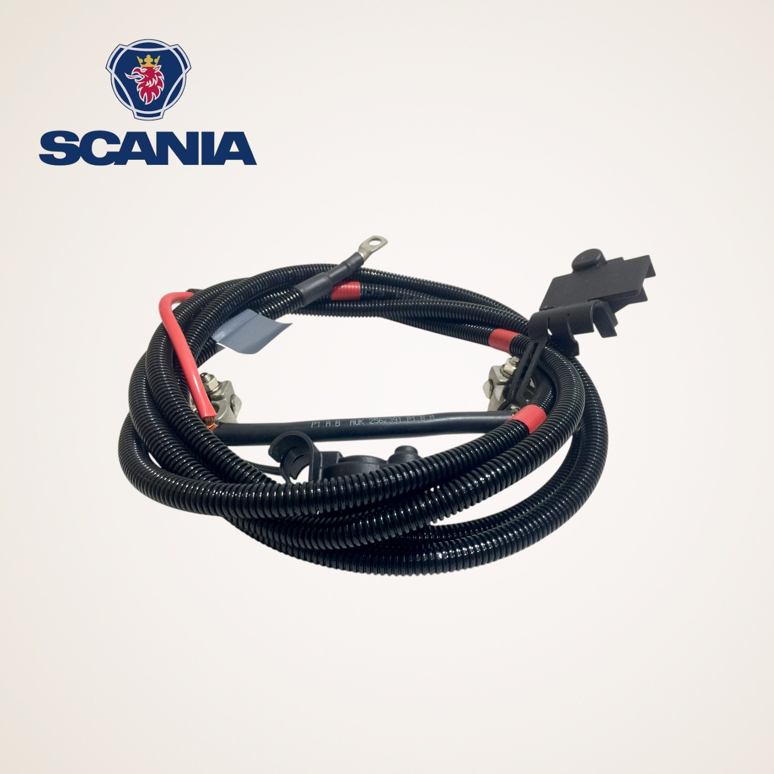 CHICOTE CABO DE BATERIA COMPLETO ORIGINAL 12V SERIE L-P-G-R-S - 2562391 - SCANIA